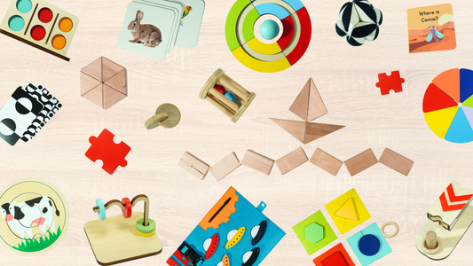Why Should You Invest in Eco Friendly Toys?