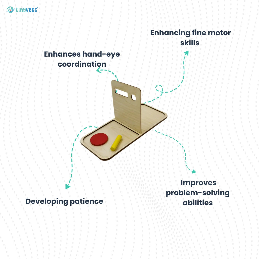 Montessori coins & pegs