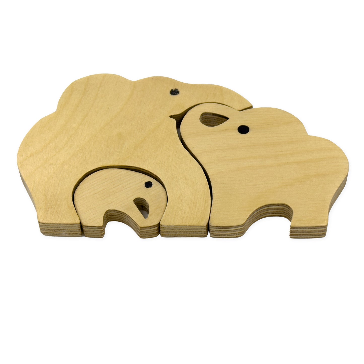 Elephant Family