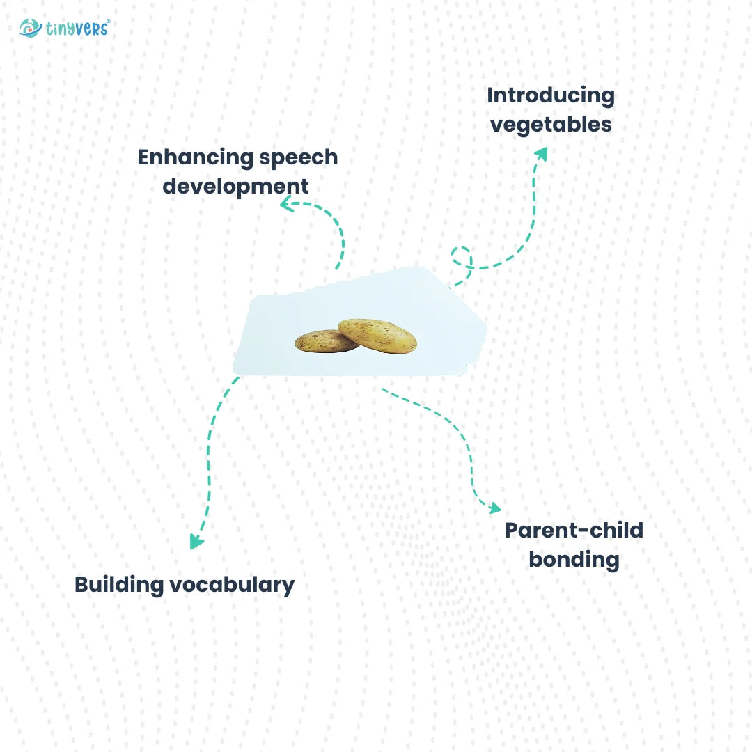 Vegetable flashcards