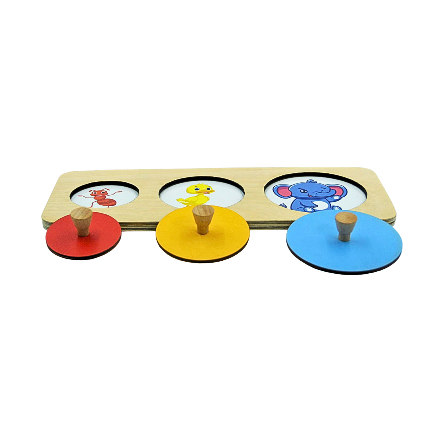 Circle Puzzle