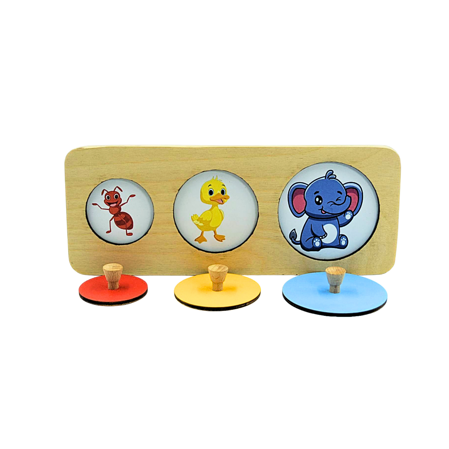 Circle Puzzle