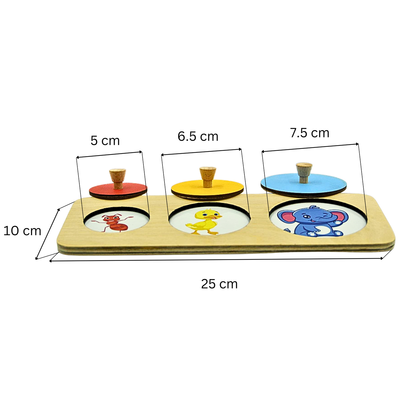 Circle Puzzle
