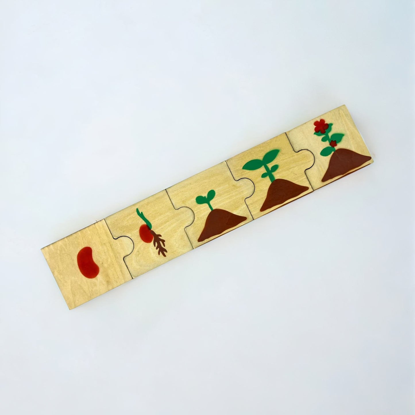Wooden Plant Life Cycle Puzzles for Toddlers