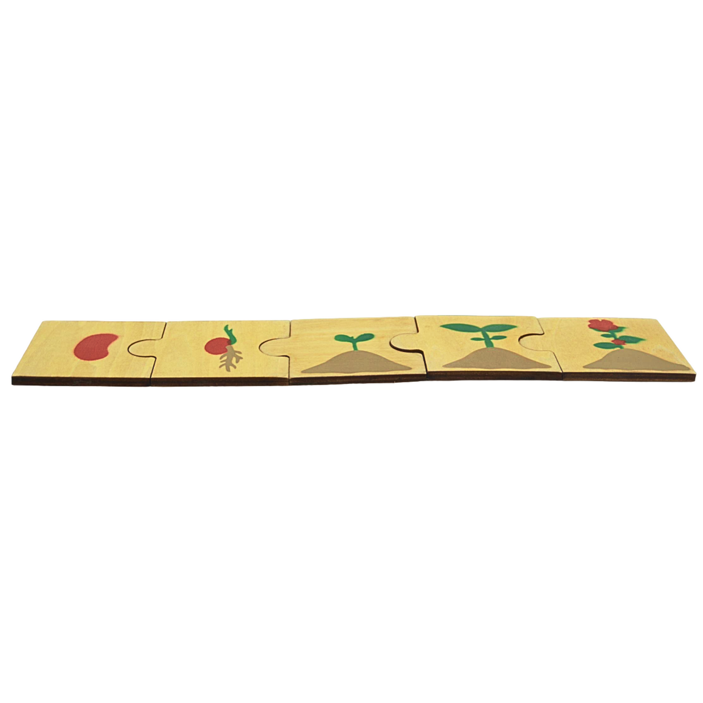 Wooden Plant Life Cycle Puzzles for Toddlers