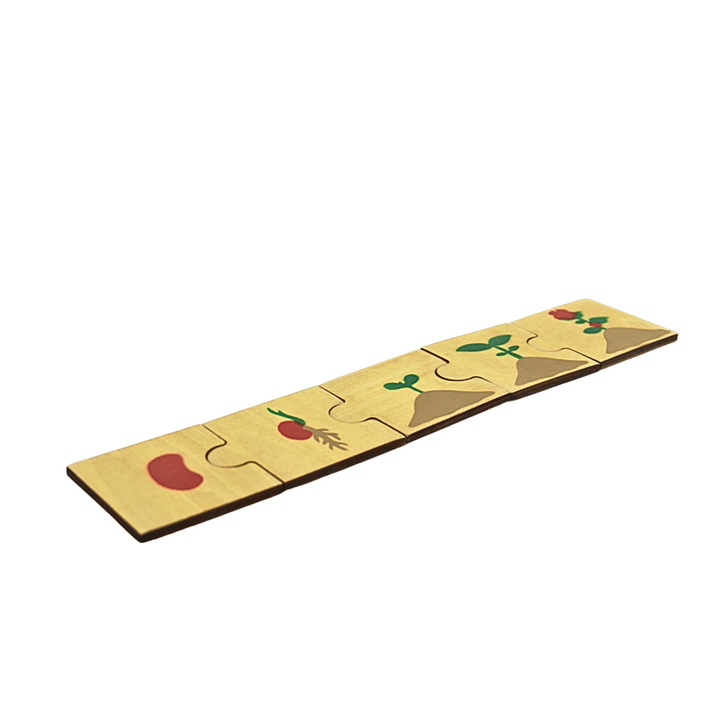 Wooden Plant Life Cycle Puzzles for Toddlers