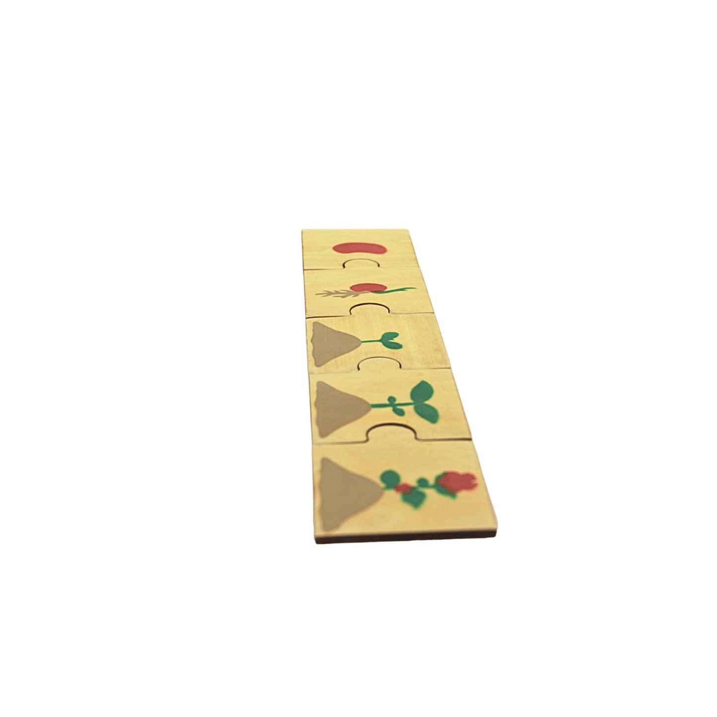 Wooden Plant Life Cycle Puzzles for Toddlers