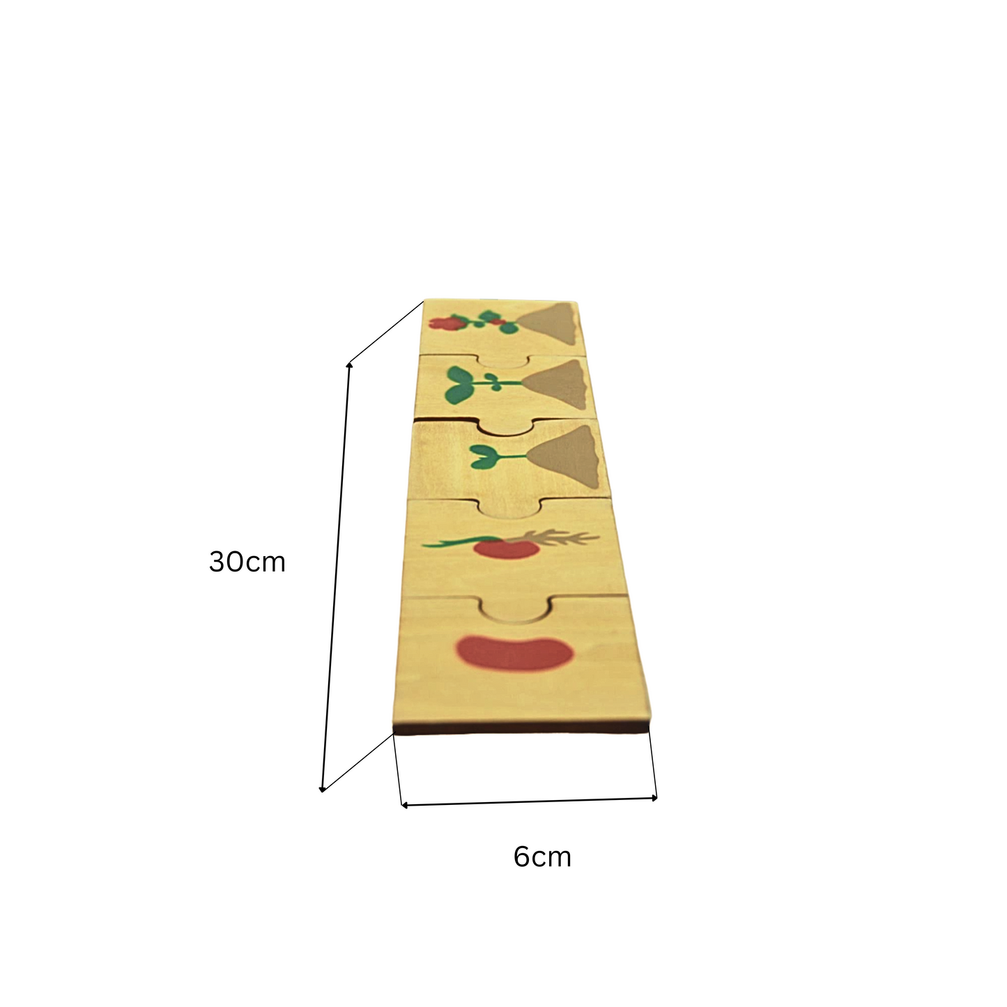 Wooden Plant Life Cycle Puzzles for Toddlers