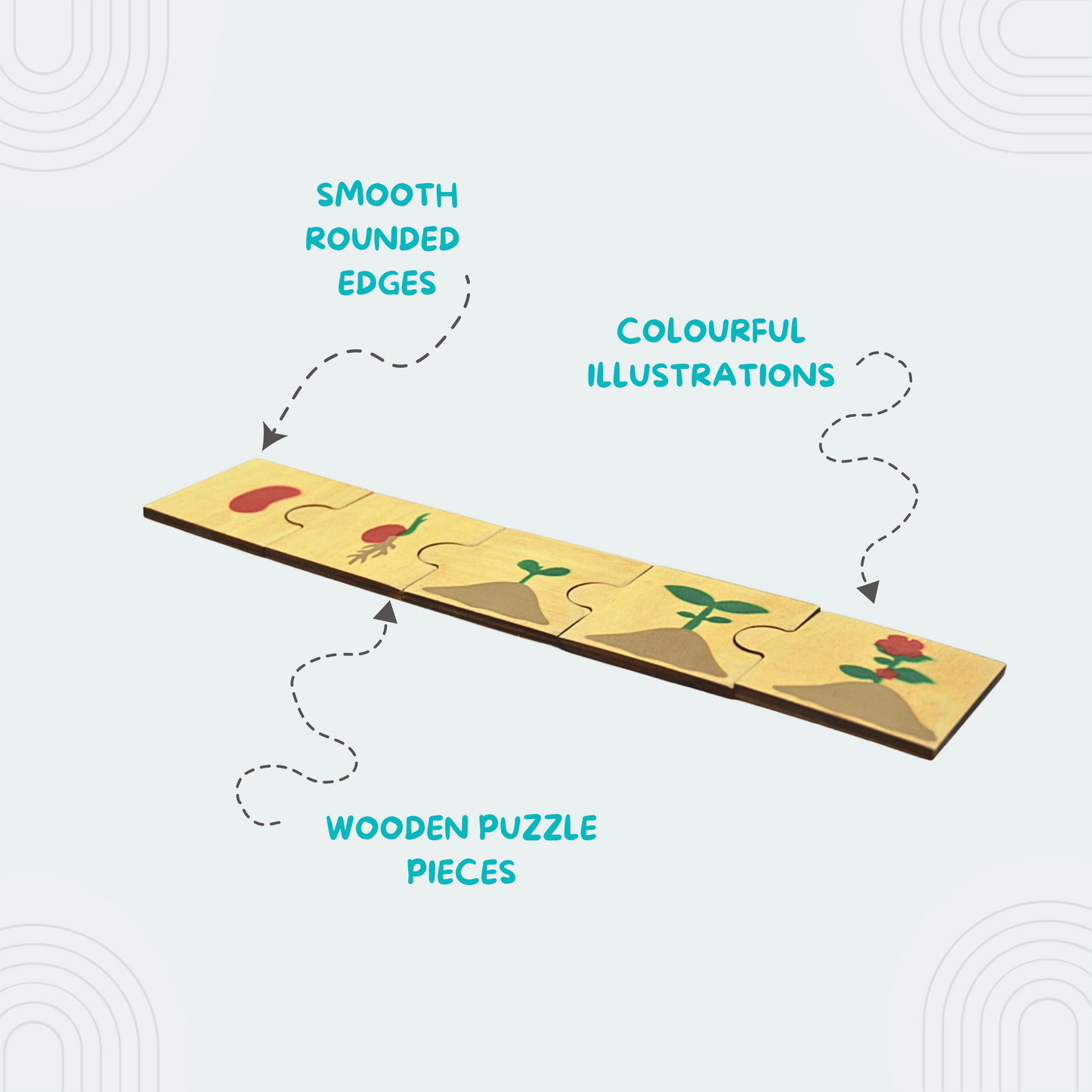Wooden Plant Life Cycle Puzzles for Toddlers