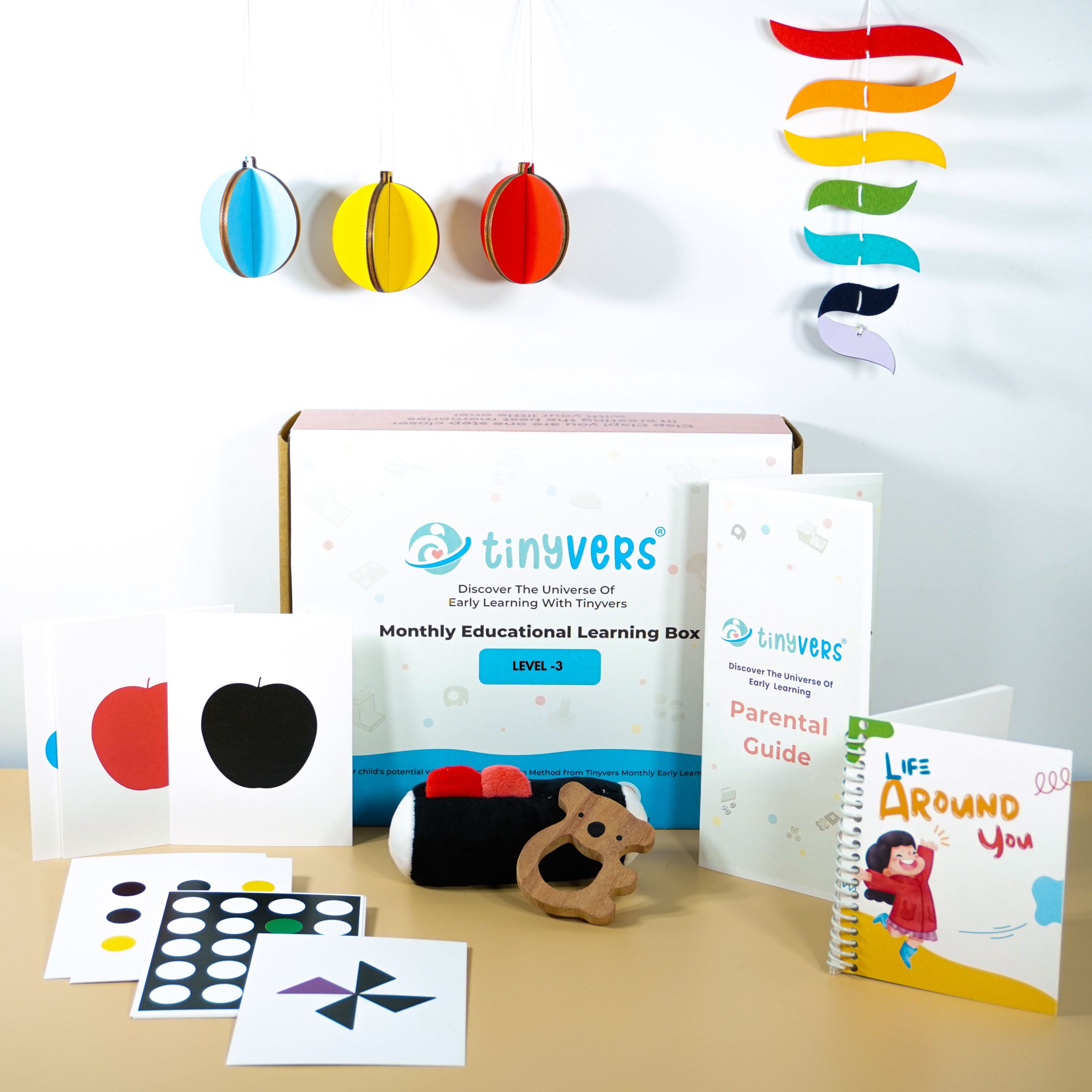 Enhance Your Childs Visual Discrimination with Montessori Toys