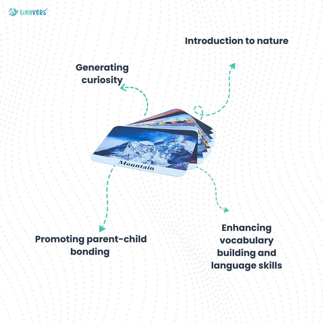 Nature cards for building vocabulary