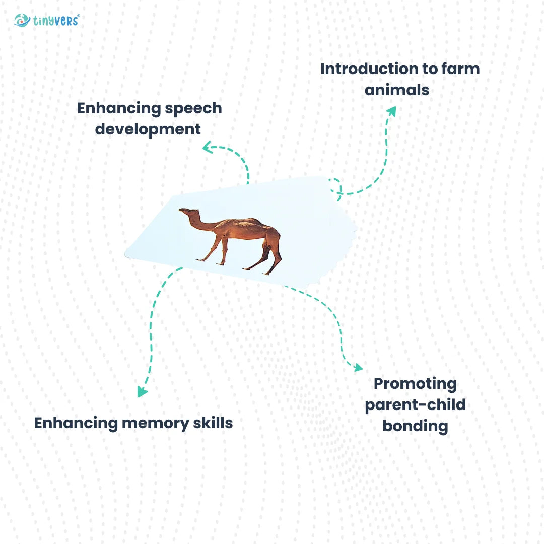 Educational farm animals