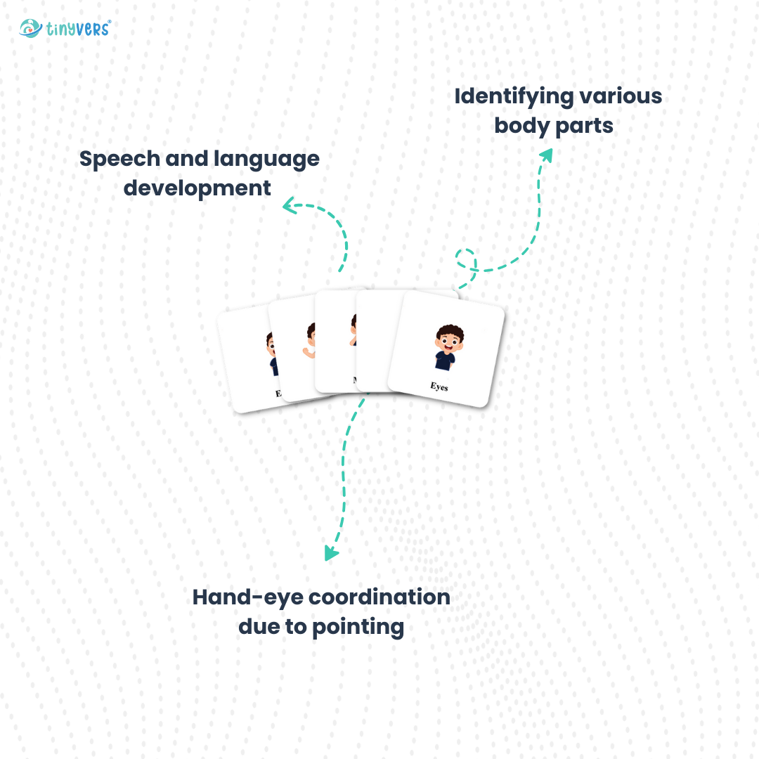 Educational body parts cards