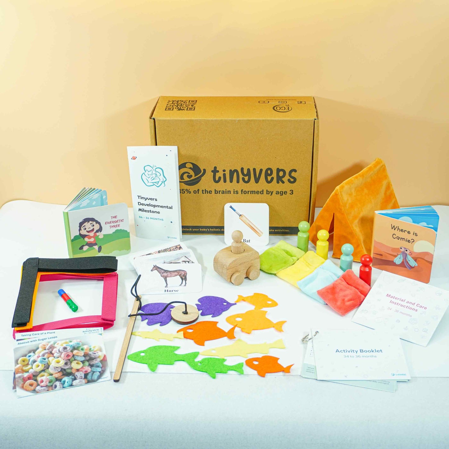 Tinyvers Educational Learning Kits | Activity Kits (0-3 Years)