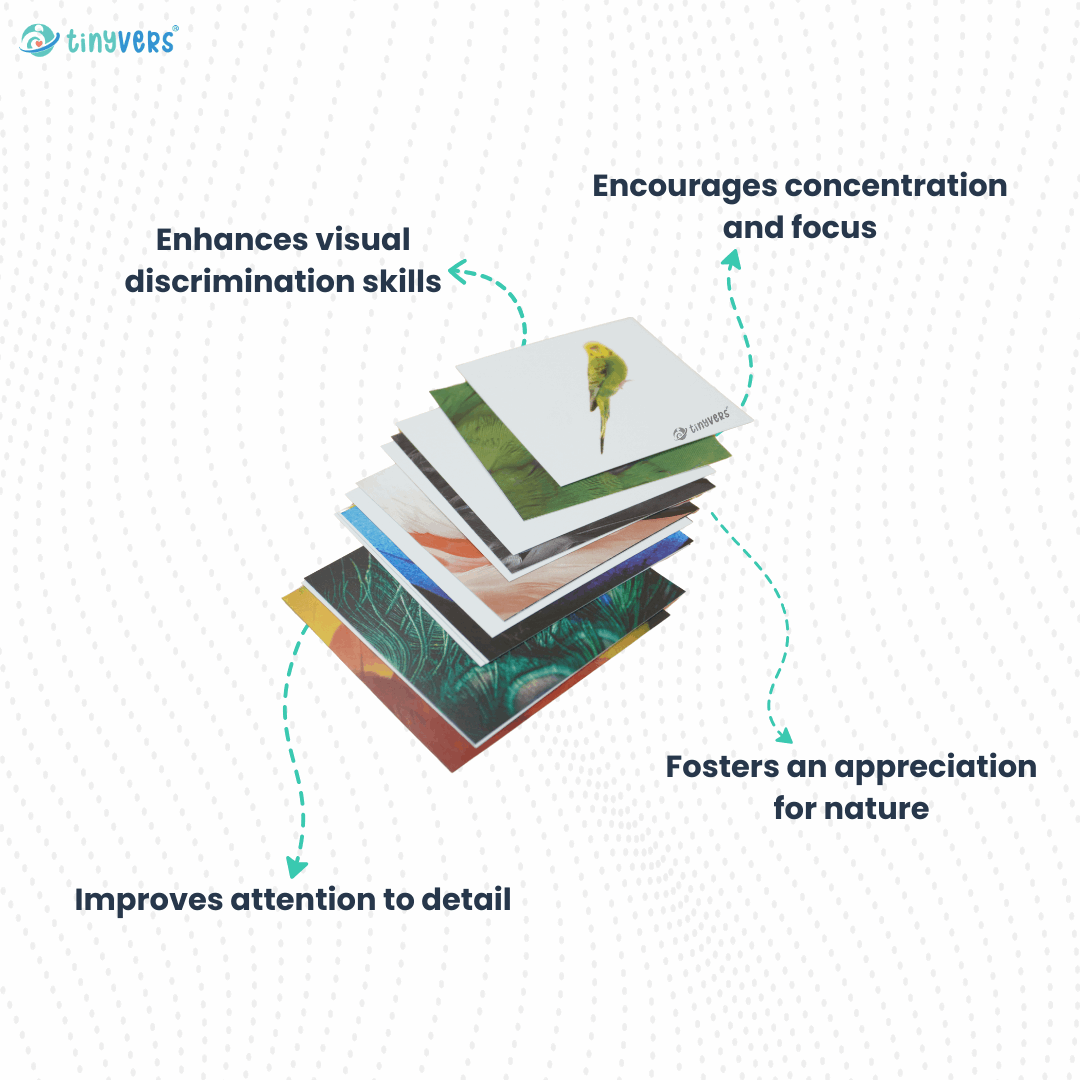 Month 29 : Monthly Educational Learning Box | Level 29 | Montessori Box